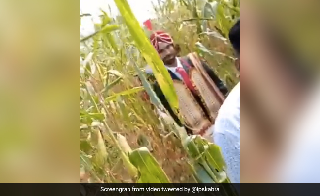 लॉकडाउन में दूल्हे ने किया ऐसा जुगाड़, बैंड बाजे के साथ बाजरे के खेत से निकाली बारात, IPS बोला- ‘मज़ा आ गया’ - देखें Video