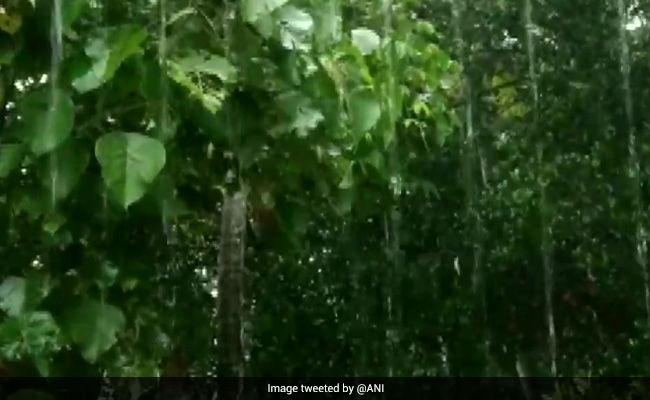 Heavy Rain Likely In Goa, Gujarat, Kerala, Konkan Region: 10 Key Updates