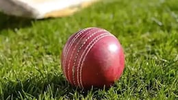 Former IPL Cricketer R Sathish Claims 'Fixing Approach' During TNPL 2021