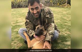 धोनी की झलक देखकर गदगद हुए फैन्स, साक्षी ने शेयर किया खास Video