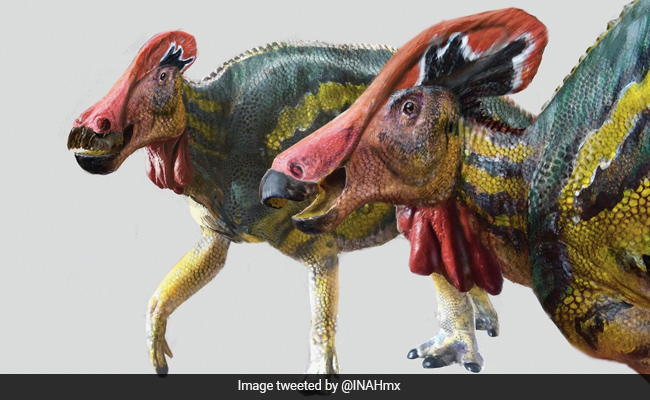 73-Million-Year-Old "Talkative" Dinosaur Species Found In Mexico