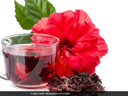 Gudhal Tea For Diabetes: How To Make Hibiscus Tea To Manage Blood Sugar (Recipe Inside) Gudhal Tea For Diabetes: How To Make Hibiscus Tea To Manage Blood Sugar (Recipe Inside)