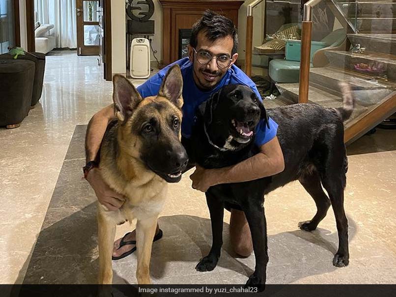 Yuzvendra Chahal Shares "Proper Pic" With "Groot and Scotty" On Instagram