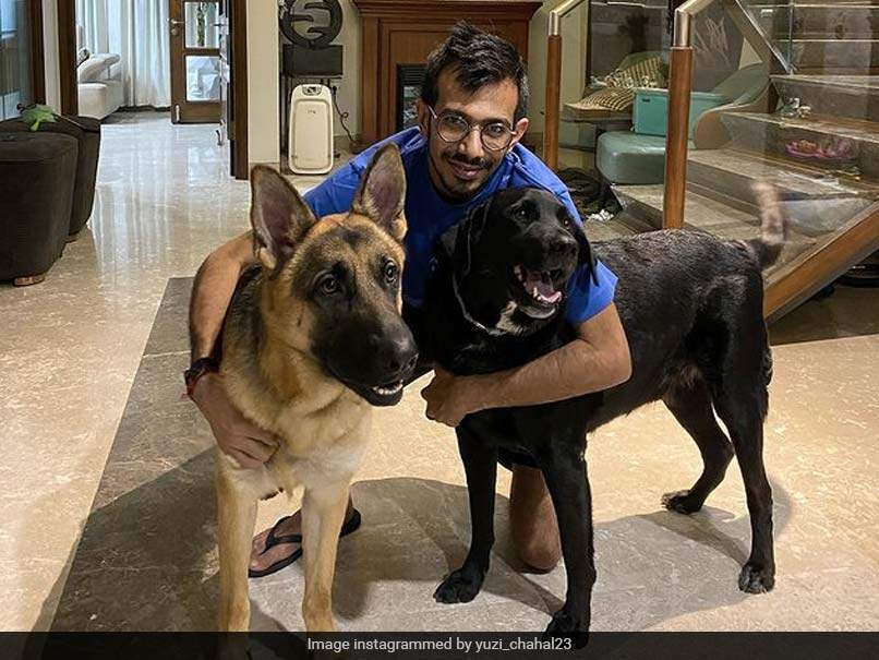 Yuzvendra Chahal Shares "Proper Pic" With "Groot and Scotty" On Instagram