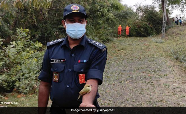 NDRF Tweets Heart-Warming Pic Of Bird Rescued After Cyclone. See Here