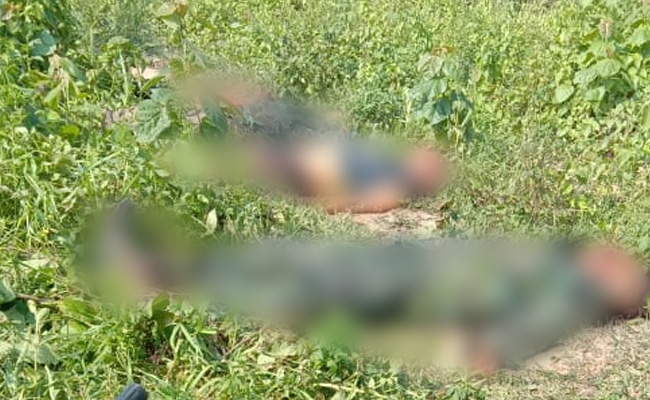 6 Terrorists Of Rebel Group Killed In Encounter In Assam