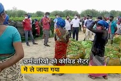 असम के चाय बागानों में कोरोना वायरस संक्रमण के मामले 300 फीसदी तक बढ़े असम के चाय बागानों में कोरोना वायरस संक्रमण के मामले 300 फीसदी तक बढ़े