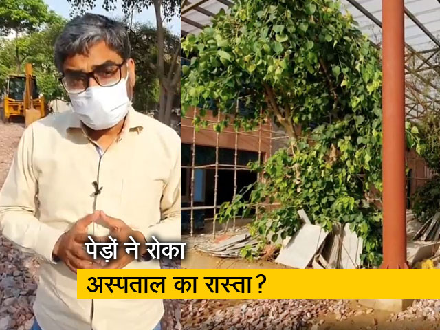 दिल्ली: नजफगढ़ में 4 पेड़ के वजह से 100 करोड़ का अस्पताल नहीं खुला