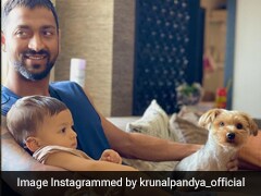 Krunal Pandya Posts Pic With "Special Company", Natasa Stankovic Reacts