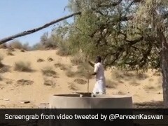 कुएं से पानी भरने के लिए गांव के शख्स ने किया गजब का जुगाड़, लोगों ने कहा- ‘न्यूटन का तीसरा नियम’ - देखें Video