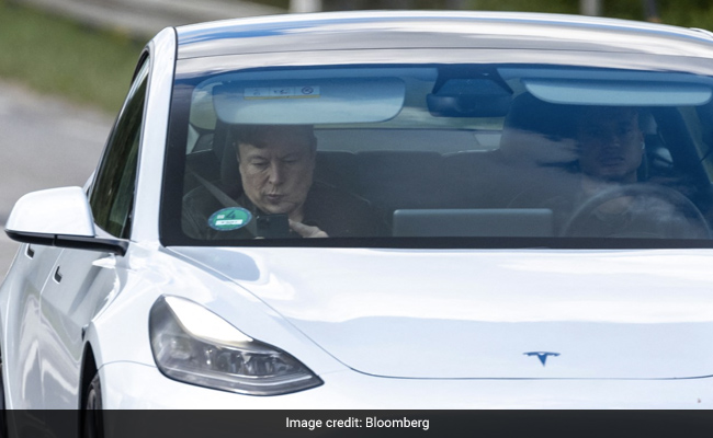 "Please Help," Beg Those Who Lost $2 Million to Fake Elon Musks