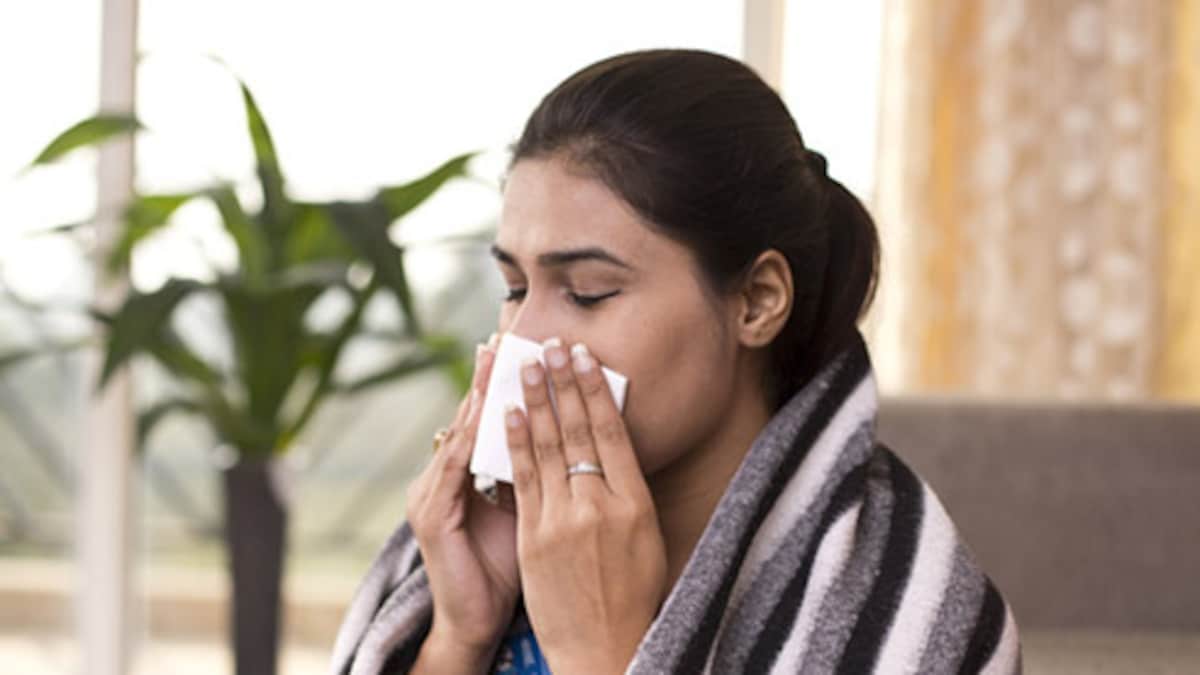 बड़े का काम का होता है ये चूर्ण, सर्दीजुकाम और कब्ज करे झटपट दूर