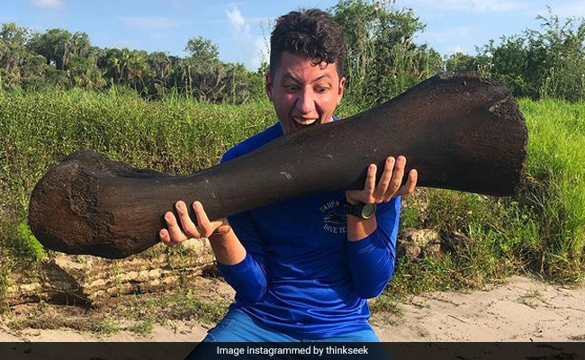 गोताखोरों ने किया अनोखा कारनामा, खोज निकाली प्राचीन हिम युग के हाथियों की हड्डियां, जानिए क्या है खास