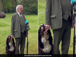 LIVE TV पर आयरलैंड के राष्ट्रपति के साथ कुत्ते ने किया कुछ ऐसा, तेजी से वायरल हुआ Video LIVE TV पर आयरलैंड के राष्ट्रपति के साथ कुत्ते ने किया कुछ ऐसा, तेजी से वायरल हुआ Video