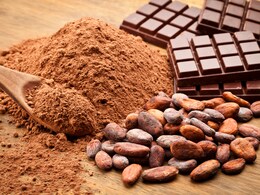 5 Cocoa Powder Options For Your Baking Needs