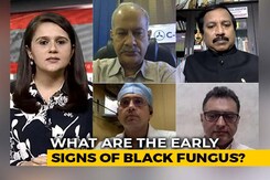 The 'Black Fungus' Explained: Early Signs, Diagnosis, Treatment The 'Black Fungus' Explained: Early Signs, Diagnosis, Treatment