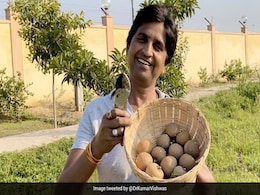 मीठे फल से कड़वी बात कह गए कुमार विश्वास, लिखा- 'खबरें पढ़कर तो कोई भी पक जाता है, ये तो चीकू है....' मीठे फल से कड़वी बात कह गए कुमार विश्वास, लिखा- 'खबरें पढ़कर तो कोई भी पक जाता है, ये तो चीकू है....'