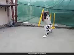 Watch: This Prodigy, Batting With One Stump, Will Leave You Spellbound