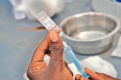 Covishield Produced More Antibodies Than Covaxin In Early Study Covishield Produced More Antibodies Than Covaxin In Early Study