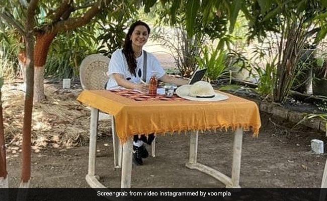 जूही चावला के फार्म पर लगा रसीले आमों का ढेर, एक्ट्रेस बोलीं-और अधिक पेड़ लगाऊंगी- देखें Photos