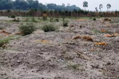 Unnao: Questions Over Unmarked, Shallow Graves Unnao: Questions Over Unmarked, Shallow Graves