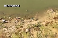 After Bihar, Bodies Found In Ganga In In UP, Other Top Stories After Bihar, Bodies Found In Ganga In In UP, Other Top Stories