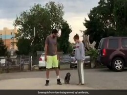 Viral Video: Dog's Reaction To "Run In Opposite Directions" Challenge Has Twitter In Splits Viral Video: Dog's Reaction To "Run In Opposite Directions" Challenge Has Twitter In Splits