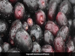 Men's Health: पुरुष खाएंगे जामुन तो सेहत को मिलेंगे हैरान करने वाले फायदे, यकीन ना हो तो खुद जान लीजिए  Men's Health: पुरुष खाएंगे जामुन तो सेहत को मिलेंगे हैरान करने वाले फायदे, यकीन ना हो तो खुद जान लीजिए