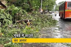चक्रवात ताउते : मुंबई में बारिश के साथ तेज हवाएं, कई जगहों पर गिरे पेड़ चक्रवात ताउते : मुंबई में बारिश के साथ तेज हवाएं, कई जगहों पर गिरे पेड़