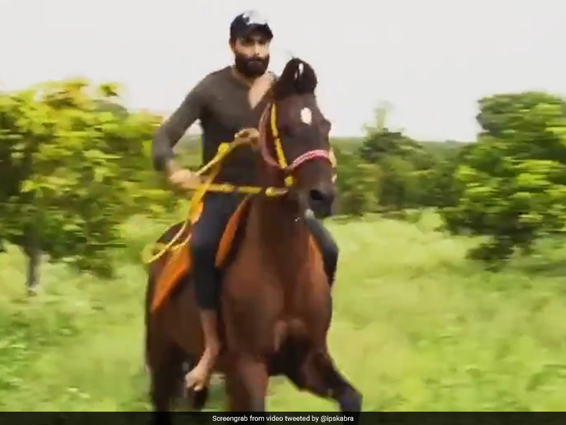 Watch Ravindra Jadeja Showing Off His Horse-Riding Skills In New Video