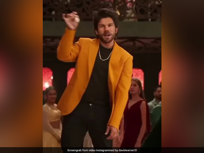 Watch: Fans Love David Warners Allu Arjun Avatar, Wife Candice Has A Question