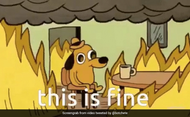 Memes Flood Twitter As Bitcoin's Downward Spiral Continues