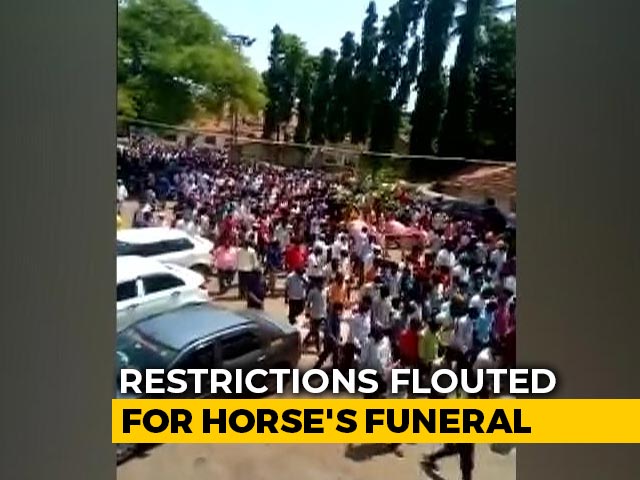 Watch: Horse's Funeral Attended By Hundreds In Karnataka Amid Lockdown