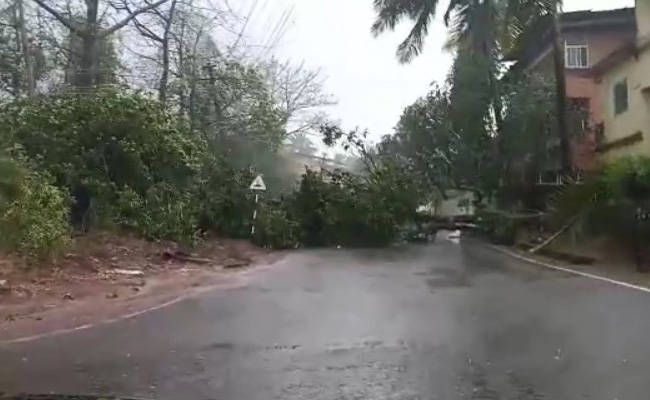 Cyclone Tauktae To Hit Coastal Areas Of Goa By Late Afternoon: Weather Office