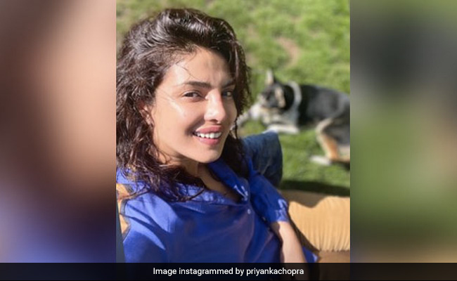 Just A Sun-Kissed Pic Of Priyanka Chopra With Her Adorable Pet Pooch Panda