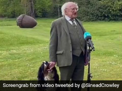 Viral Video: Irish President's Dog Steals The Show On Live TV