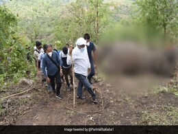 Assam Sets Up Inquiry Into Elephant Deaths, To Build Memorial Too Assam Sets Up Inquiry Into Elephant Deaths, To Build Memorial Too