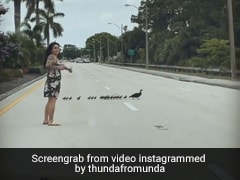 महिला ने कार से उतरकर बत्तख और उसके बच्चों को कुछ इस तरह पार कराई सड़क, वीडियो ने जीता लोगों का दिल