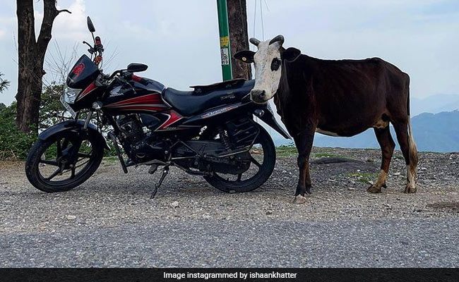It Happens Only In India: "Choose Your Ride" From Ishaan Khatter's Pic