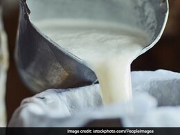 MP Government To Invest Rs 1,500 Crore To Increase Milk Production In 5 Years MP Government To Invest Rs 1,500 Crore To Increase Milk Production In 5 Years