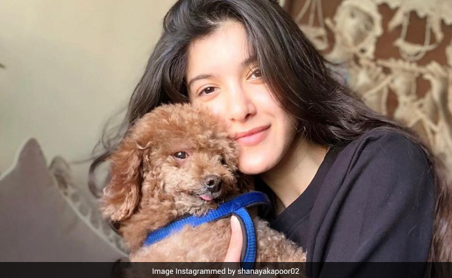 Shanaya Kapoor Mourns Pet Dog Scooby: "You're Always Going To Be Home For Me"