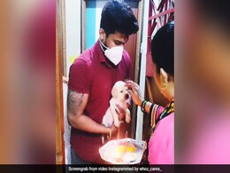 उतारी आरती, लगाया टीका,  फिर कुछ इस तरह हुआ कुत्ते का गृह प्रवेश - देखें मजेदार VIDEO उतारी आरती, लगाया टीका,  फिर कुछ इस तरह हुआ कुत्ते का गृह प्रवेश - देखें मजेदार VIDEO