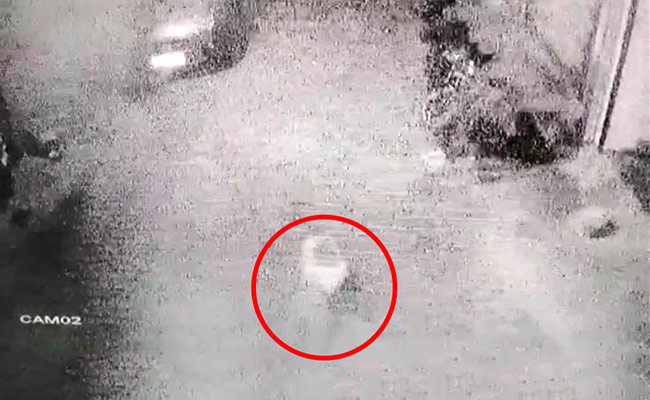 On CCTV, UP Girl Thrown From 2nd Floor Home, Allegedly By Her Molesters