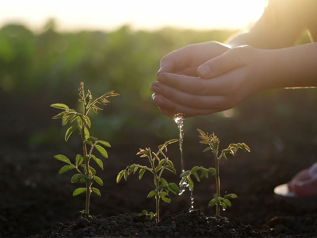 World Environment Day 2021: How Destruction Of Environment Can Cause Pandemics