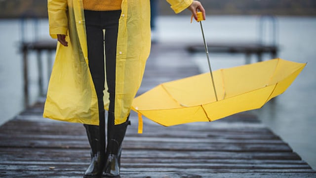 During monsoon eat a healthy diet and avoid oily foods as much as possible