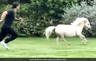 धोनी ने दिखाया सुपरहीरो वाला अंदाज, घोड़े के साथ लगा दी रेस, बीवी Sakshi बोलीं- मजबूत, तेज..- Video