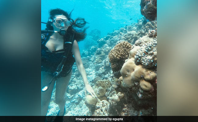 Just A Glimpse Of Esha Gupta's Underwater Adventures. See Pic