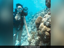 Just A Glimpse Of Esha Gupta's Underwater Adventures. See Pic Just A Glimpse Of Esha Gupta's Underwater Adventures. See Pic