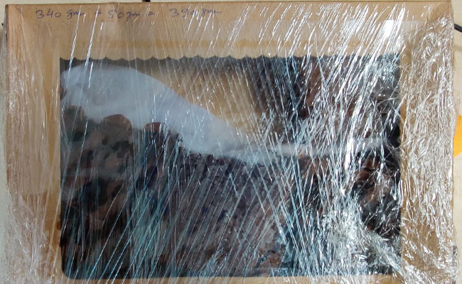 NCB ने किया 'ड्रग्स बेकरी' का खुलासा, केक-पेस्ट्री में ड्रग्स मिलाकर हाई प्रोफाइल पार्टियों में किया जाता था सप्लाई