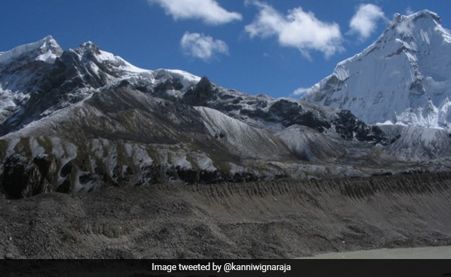 World Environment Day 2021: Quotes That Inspire Us On Environment Day